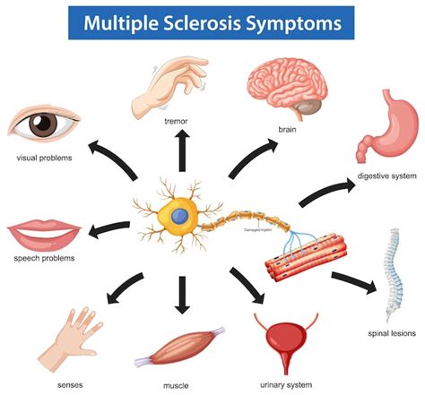 Diagramma che illustra l'azione dei neuro-ingredienti sulla pelle