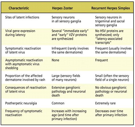 Immagine che illustra la differenza tra Herpes Simplex e Herpes Zoster