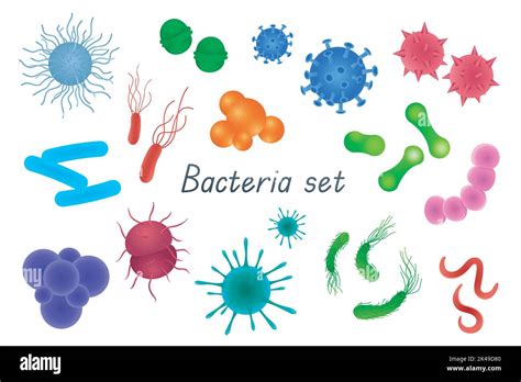 Illustrazione di diversi tipi di infezioni batteriche e fungine