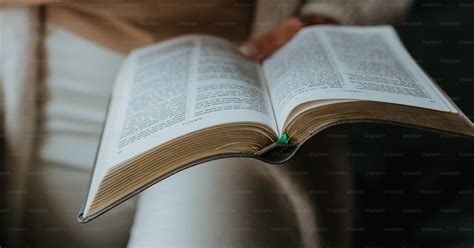 persona che legge un libro su un lettino da balcone