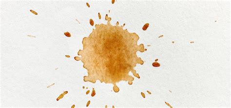 Illustrazione di macchie caffè latte di diverse dimensioni e forme