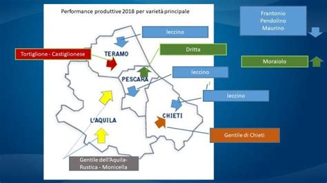 Grafico comparativo delle performance produttive tra manze con e senza dermatite digitale