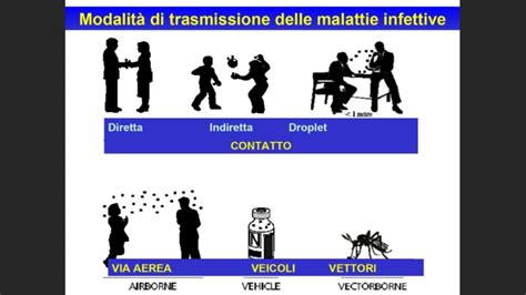 Diagramma che illustra le vie di trasmissione delle infezioni fungine