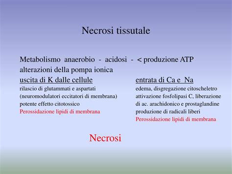 Illustrazione schematica della necrosi tissutale dovuta a insufficiente apporto sanguigno