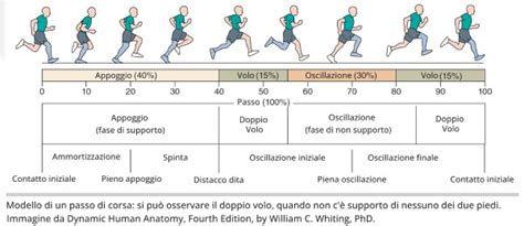 Schema che illustra la differenza tra un pixel morto e un danno fisico su uno schermo