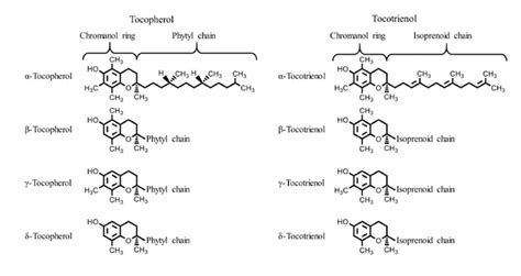 Infografica che illustra la struttura chimica e le proprietà di alcuni idrocolloidi comunemente usati nel gelato.