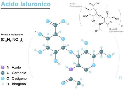Schema molecolare acido ialuronico e ceramidi