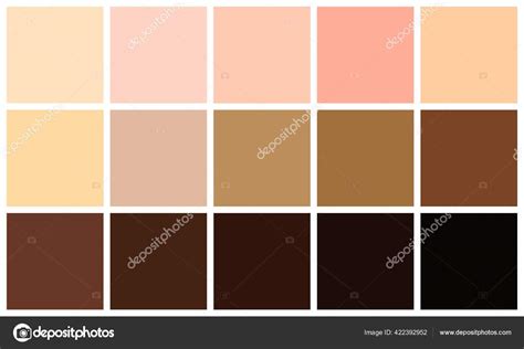 Palette di colori di fondotinta per diverse tonalità di pelle