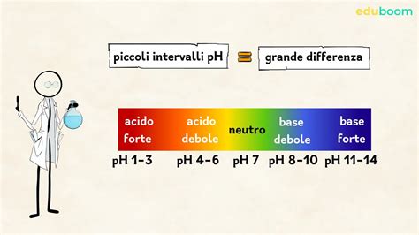 Schema che illustra la penetrazione degli acidi ialuronici a diversi livelli della pelle