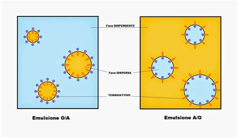 schema di emulsione cosmetica