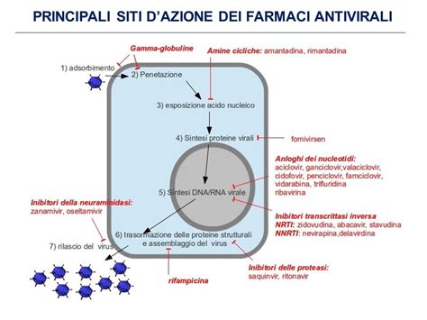 Diagramma che illustra il meccanismo d'azione di un farmaco oncologico mirato