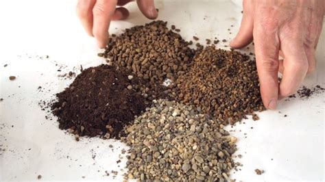 Terriccio per piante grasse con perlite e sabbia