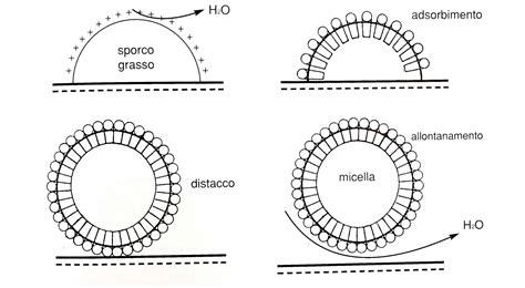 Micelle in acqua micellare