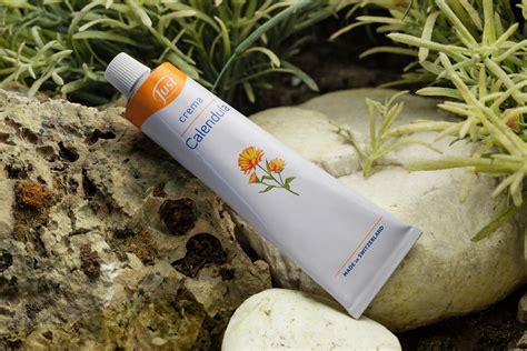 Schema degli ingredienti chiave della crema alla calendula