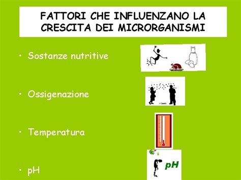 Infografica che illustra i fattori che influenzano la sudorazione