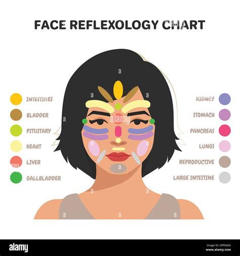 Diagramma che illustra le aree del viso interessate dalla chin mask