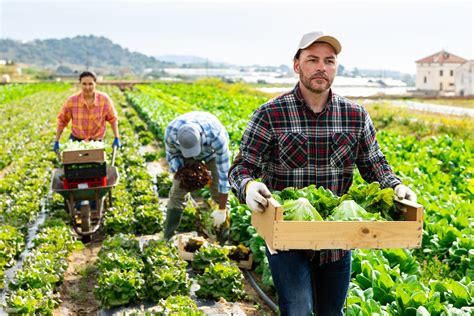 Immagine di un lavoratore agricolo in una regione tropicale