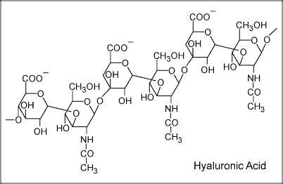 Acido ialuronico molecola