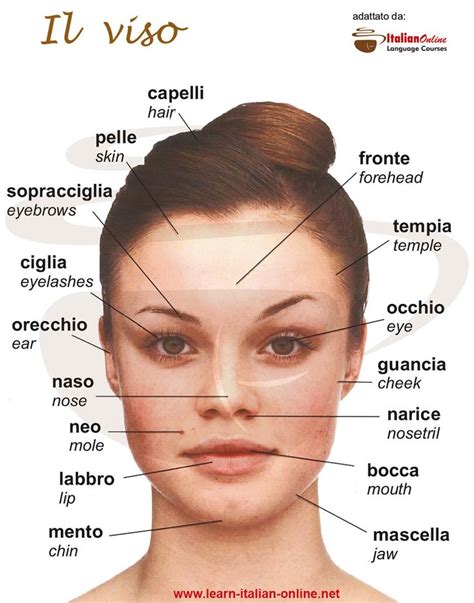 parti del viso vulnerabili al sole