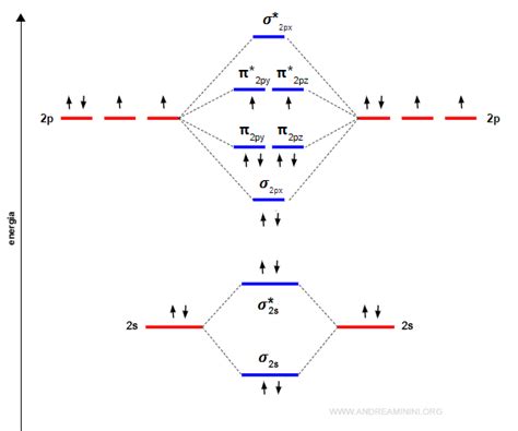 Diagramma molecolare del NAD+
