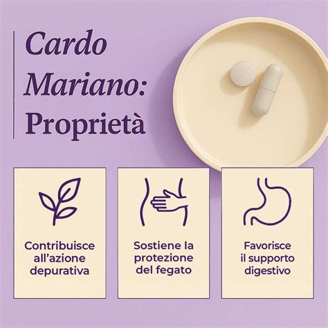 Illustrazione dei benefici del cardo mariano sulla pelle