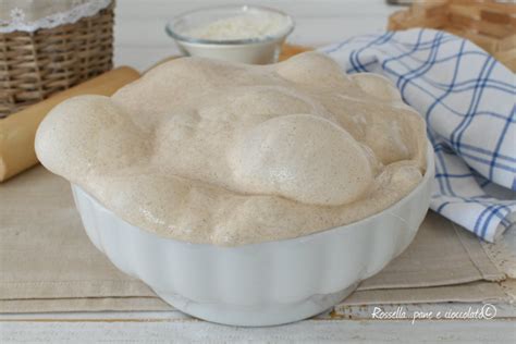 Impasto che lievita in contenitore