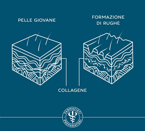 Schema che illustra la differenza tra pelle sana e pelle psoriasica, evidenziando la rapida crescita cellulare nella psoriasi