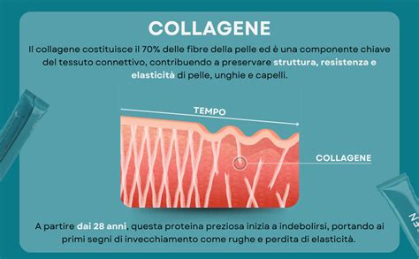 Grafico che mostra l'azione di collagene e acido ialuronico sulla pelle