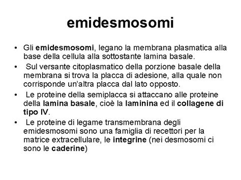 Diagramma che illustra la struttura dei desmosomi