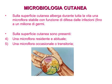 Schema che illustra l'equilibrio della microflora cutanea