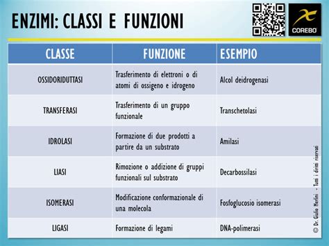 Schema degli ingredienti chiave e delle loro funzioni