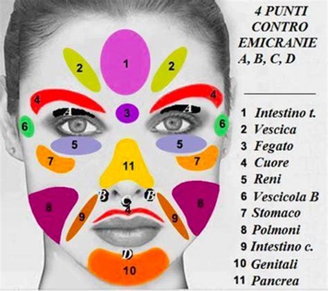Schema delle zone del viso colpite da acne