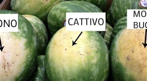 Immagine di un'anguria con evidenziata la parte bianca della buccia