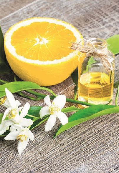 Estratti naturali in cosmetica