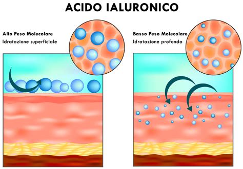 diagramma molecolare dell'Acido Ialuronico a diverso peso molecolare