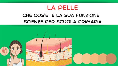 Schema che illustra la barriera di silicone sulla pelle