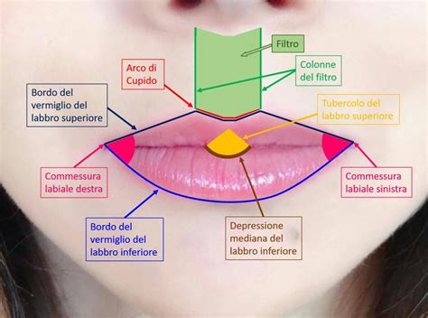 Labbra curate e colorate