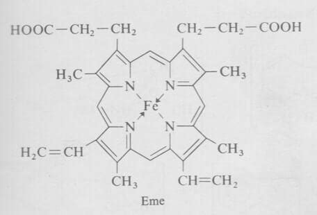 Struttura chimica dell'eme e delle porfirine