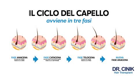Schema delle cause dei capelli grassi: fattori interni ed esterni