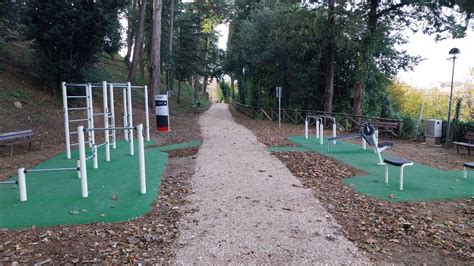 Area attrezzata boschetto Lupo Nero