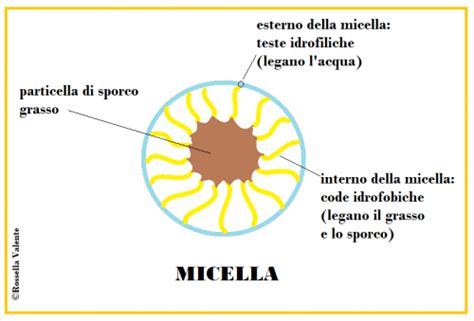 Diagramma di una micella che cattura lo sporco