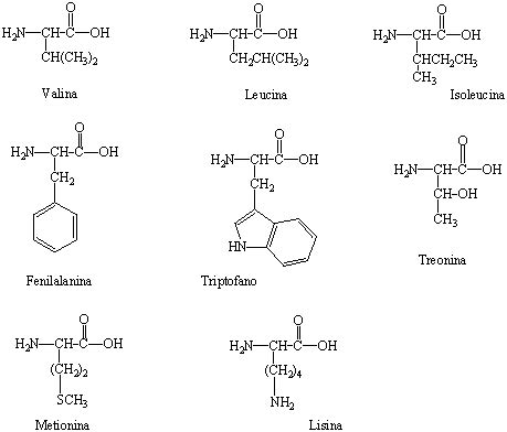 Schema della struttura molecolare di alcuni ingredienti attivi