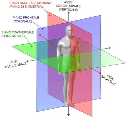 Persona in posizione anatomica