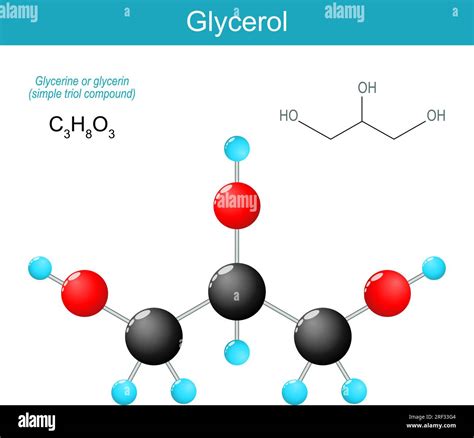 Struttura molecolare della glicerina