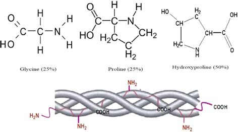 Struttura chimica del peptide biomimetico