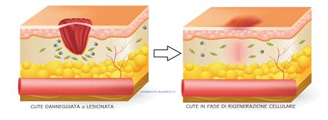 Processo di rigenerazione della pelle notturna
