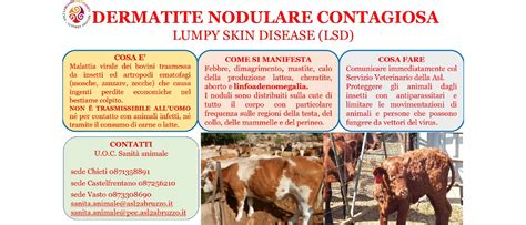 Mappa della diffusione della Dermatite Nodulare Contagiosa nel mondo