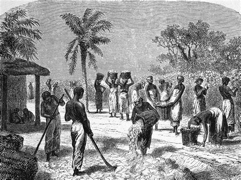 Raffigurazione di schiavi in una piantagione di Antigua