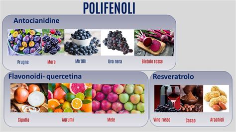 uva e polifenoli antiossidanti