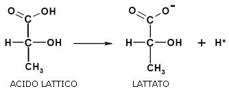 struttura molecolare di acido glicolico, lattico e salicilico
